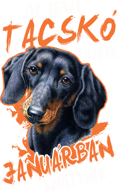 Tacskó január