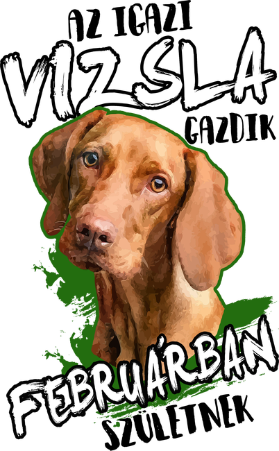 Vizsla Februárban