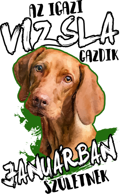 Vizsla Januárban
